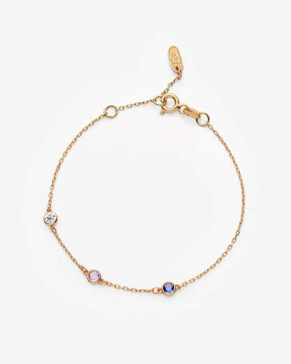 Personalized Family Birthstone Bracelet - Family Jewelry